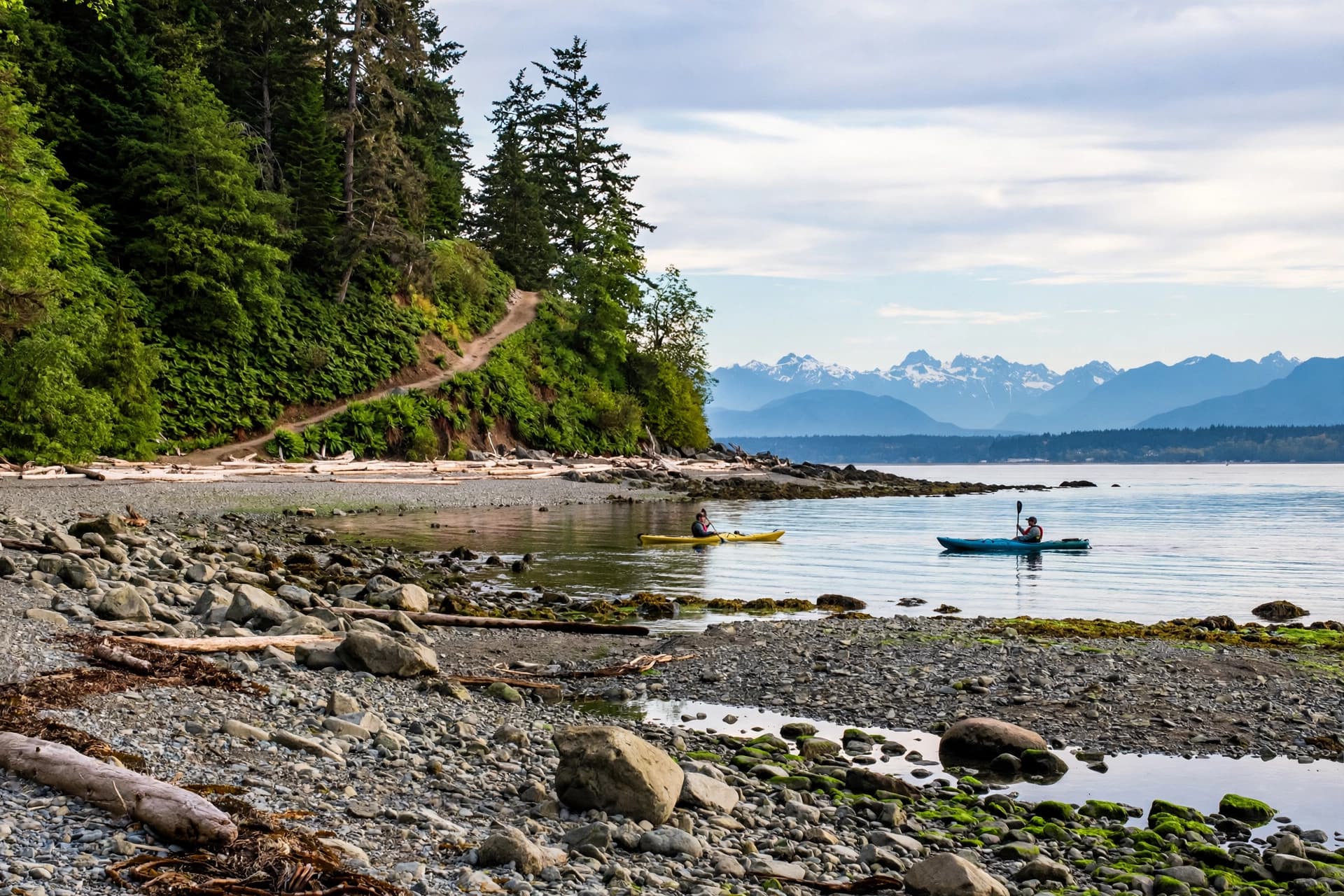 Seahurst Park shoreline with driftwood and Puget Sound