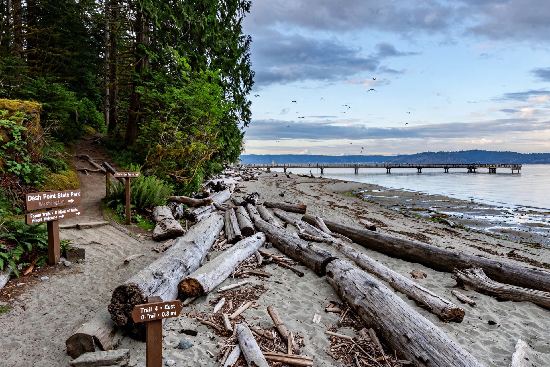 Dash Point State Park beach and pier at low tide
